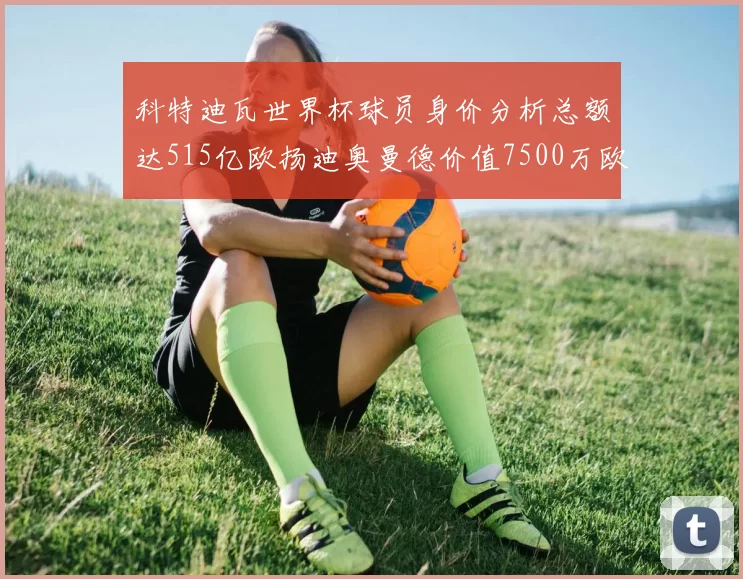 科特迪瓦世界杯球员身价分析总额达515亿欧扬迪奥曼德价值7500万欧