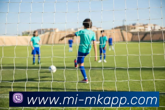MK体育APP 高清赛事图